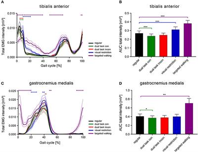 Probing Corticospinal Control During Different Locomotor Tasks Using Detailed Time-Frequency Analysis of Electromyograms